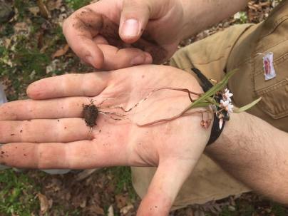 31170587_2040101162923352_9062408841094202875_n