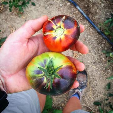 38849783_2125088851091249_8818187738432929792_o