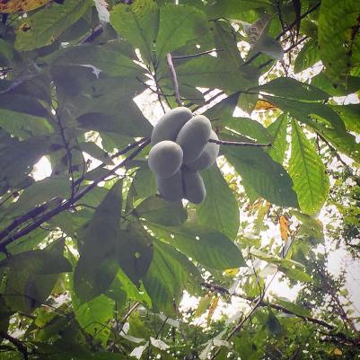 41524251_2151953665071434_5226951714350825472_o