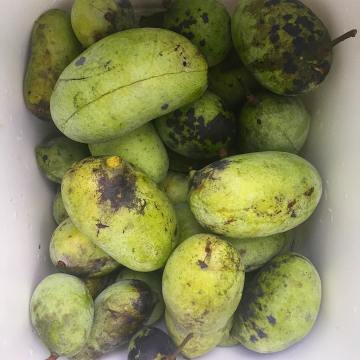 41537148_2151953788404755_853082377314893824_o