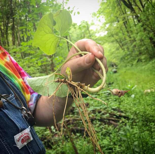 59449967_2298892033710929_1039038771716161536_n